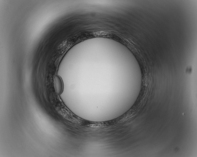 X0000112460763200908171016