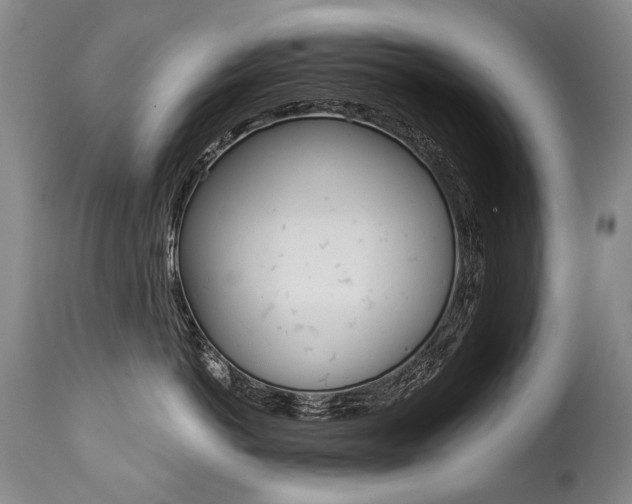 X0000112460766200908171016