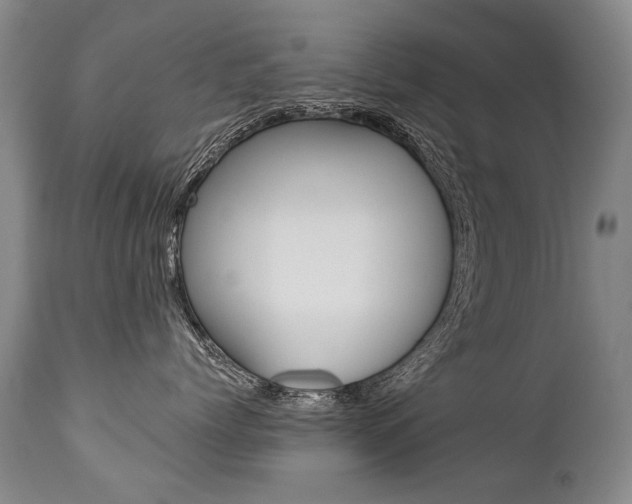X0000112460768200908171016
