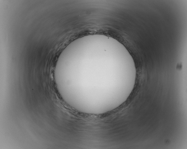 X0000112460770200908171015