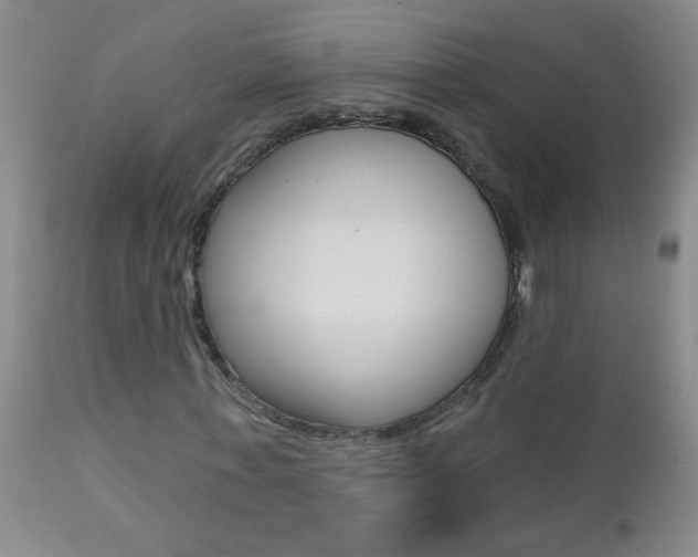 X0000112460771200908171015