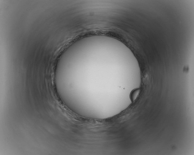 X0000112460772200908171015