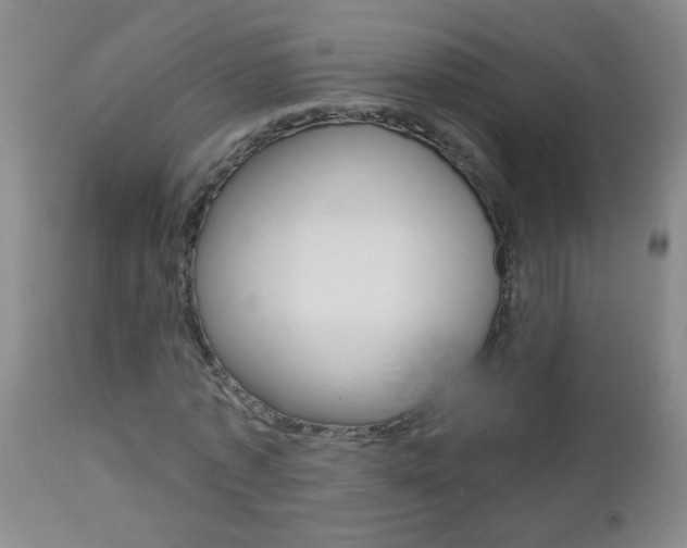 X0000112460773200908171015