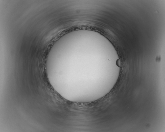X0000112460774200908171015