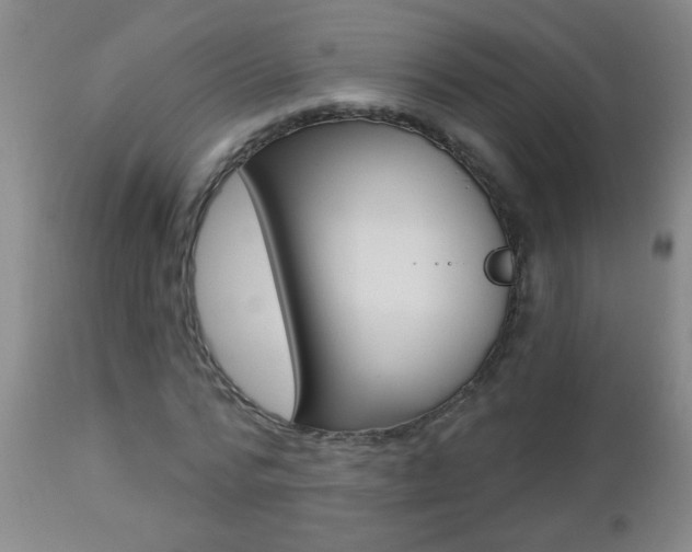 X0000112460776200908171015