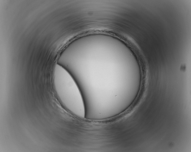 X0000112460777200908171015