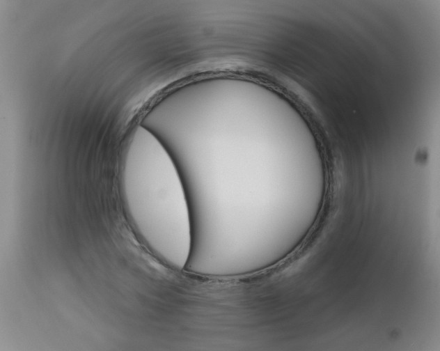 X0000112460778200908171015