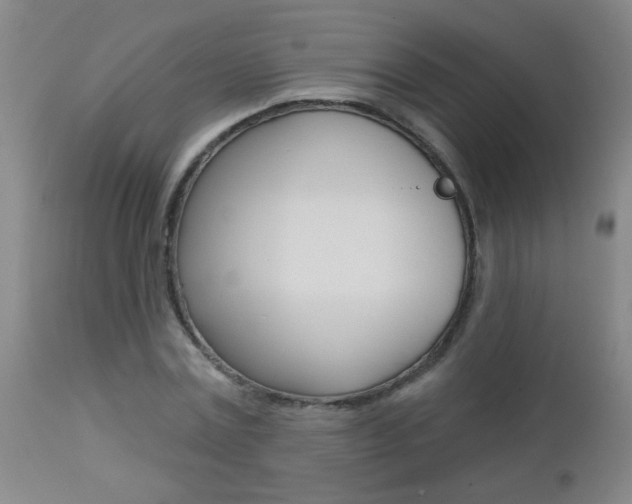 X0000112460779200908171015