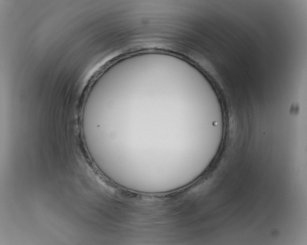X0000112460782200908171015
