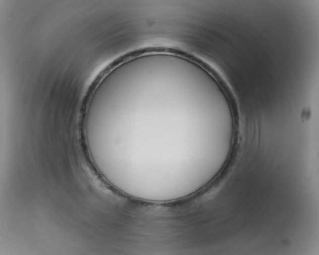 X0000112460783200908171015