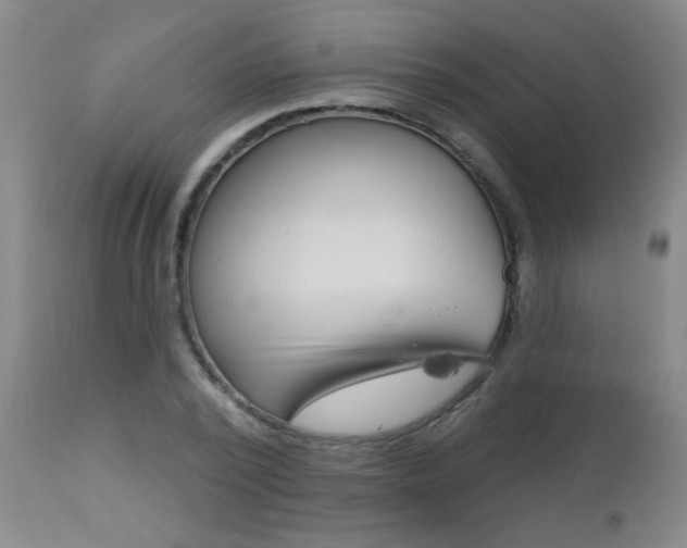 X0000112460784200908171015
