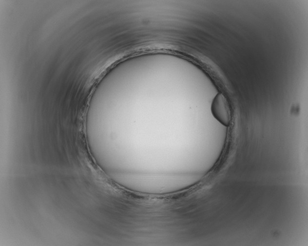 X0000112460785200908171015