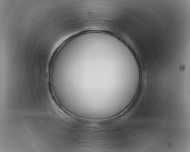 X0000112460787200908171015