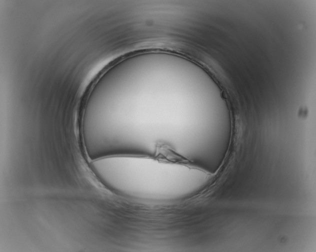X0000112460788200908171015