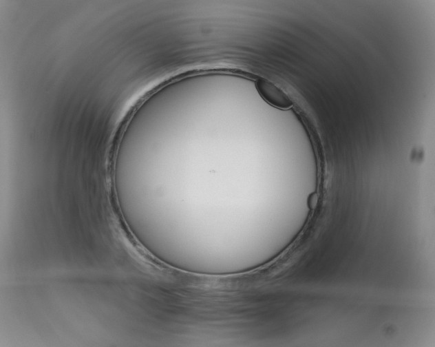 X0000112460789200908171015
