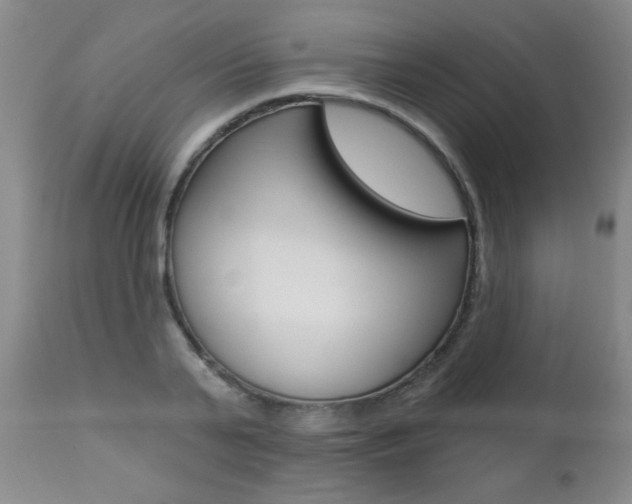 X0000112460791200908171015