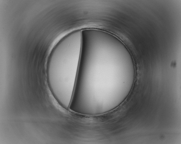 X0000112460792200908171014