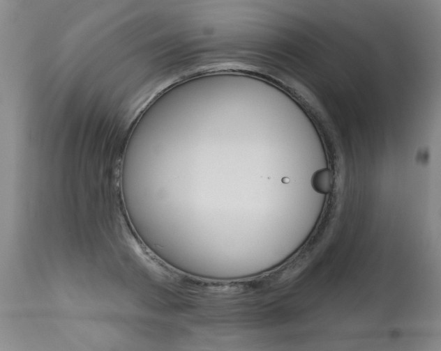X0000112460793200908171014