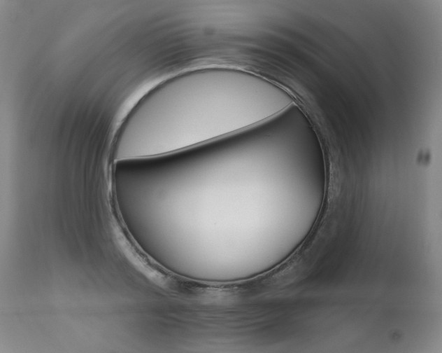 X0000112460796200908171014