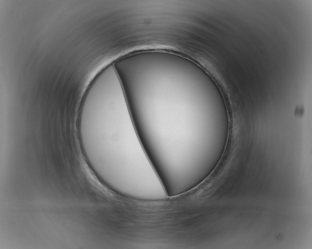 X0000112460797200908171014
