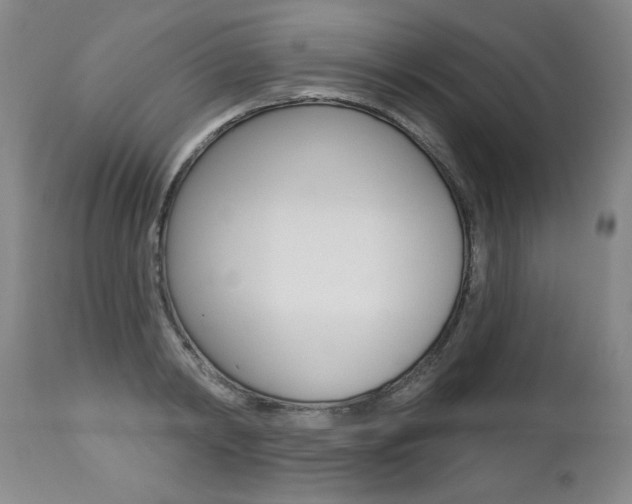 X0000112460798200908171014
