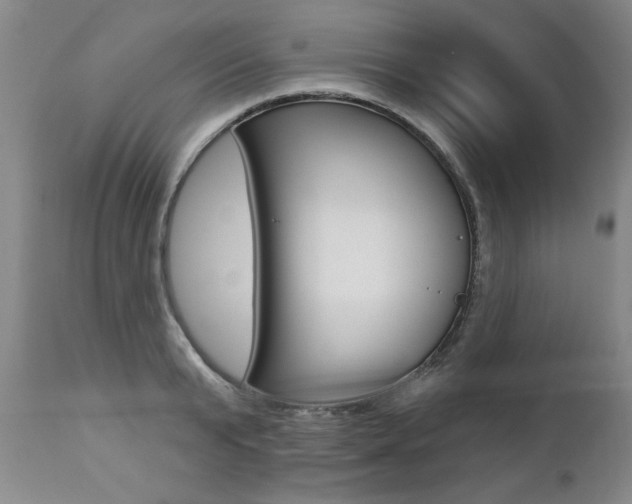 X0000112460799200908171014