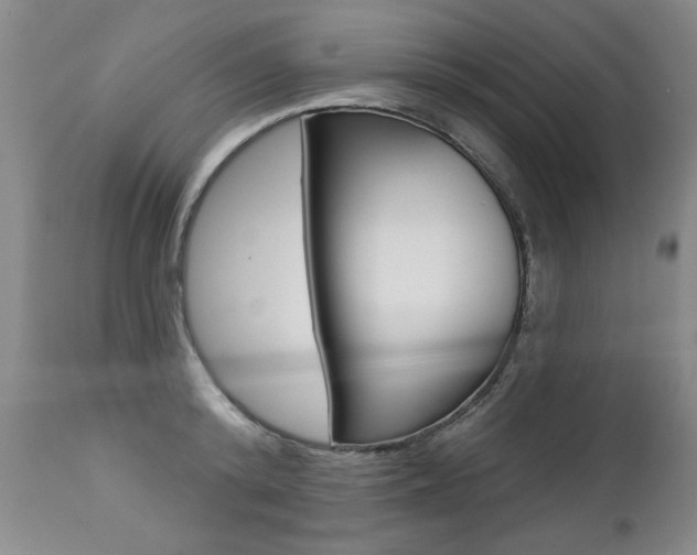 X0000112460800200908171014