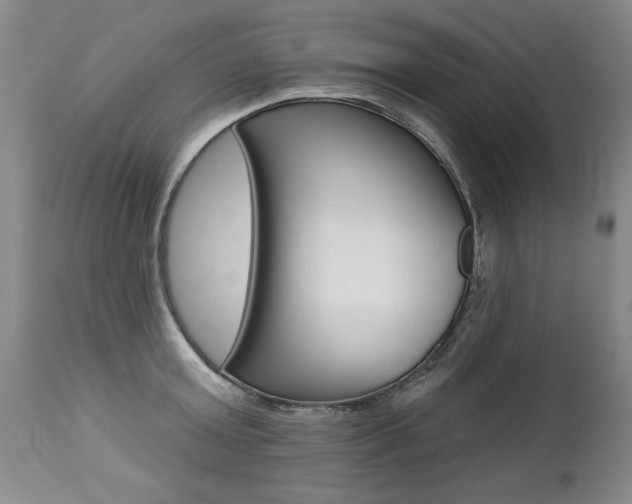 X0000112460803200908171014