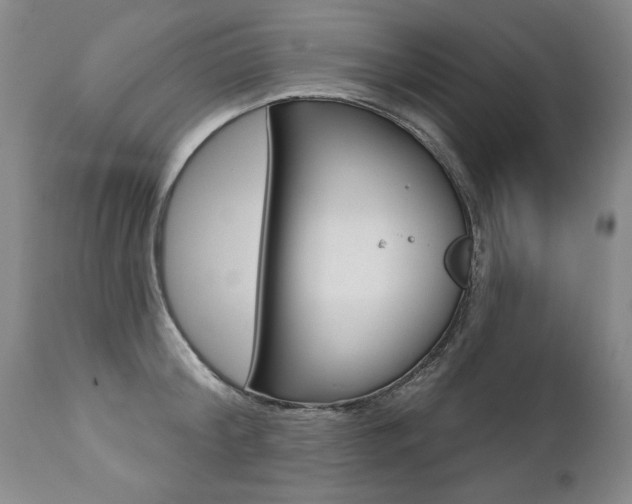 X0000112460804200908171014