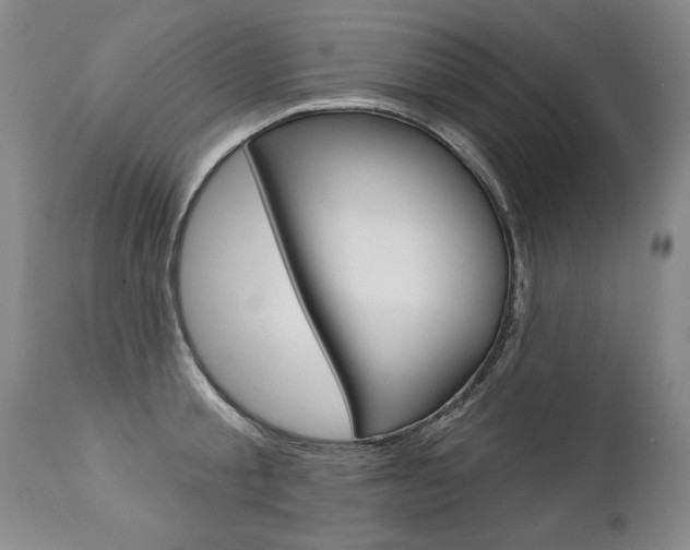 X0000112460805200908171014
