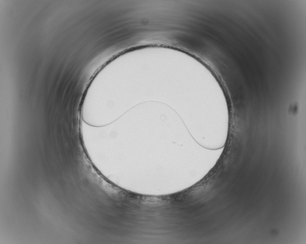 X0000112460807200908171014