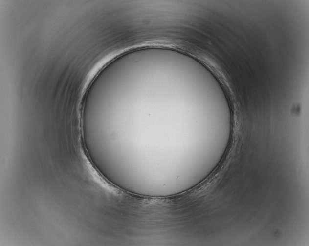 X0000112460808200908171014