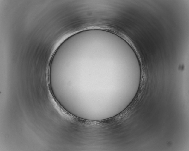 X0000112460811200908171014