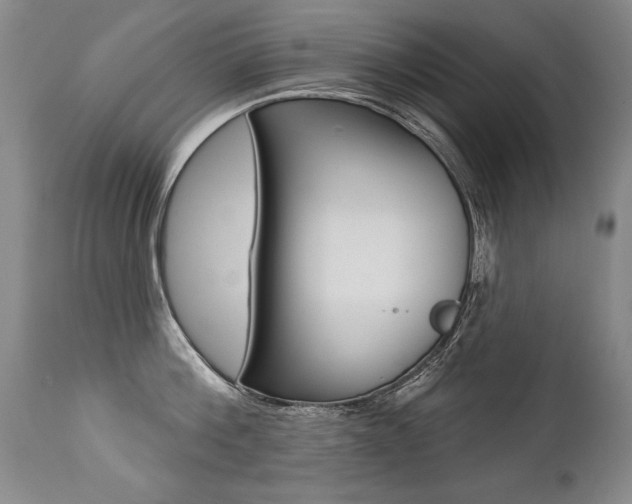 X0000112460812200908171014