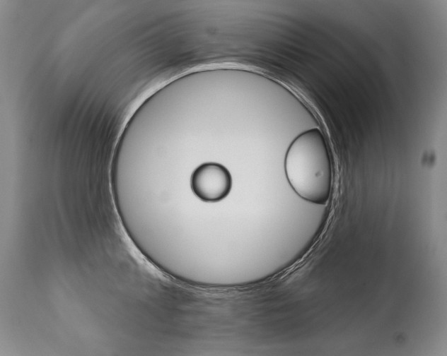 X0000112460813200908171014