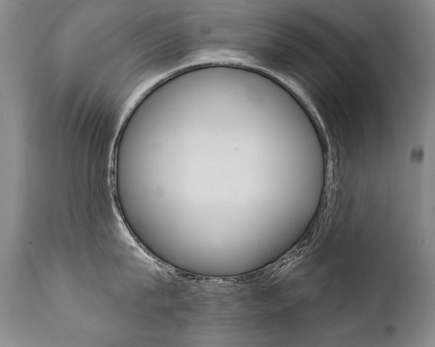 X0000112460815200908171014