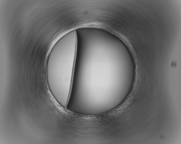 X0000112460816200908171014