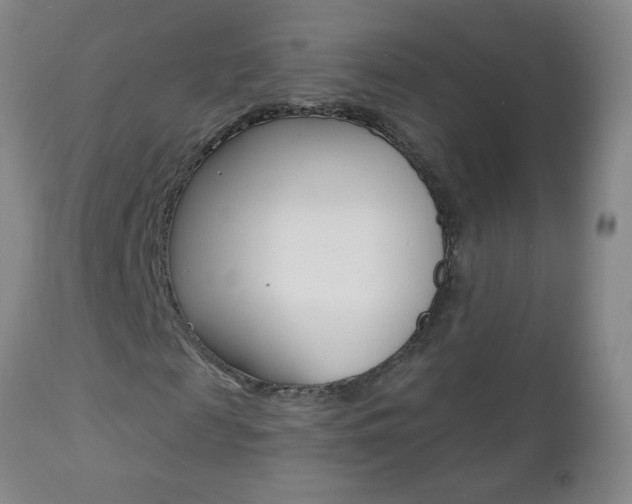 X0000112460817200908171013