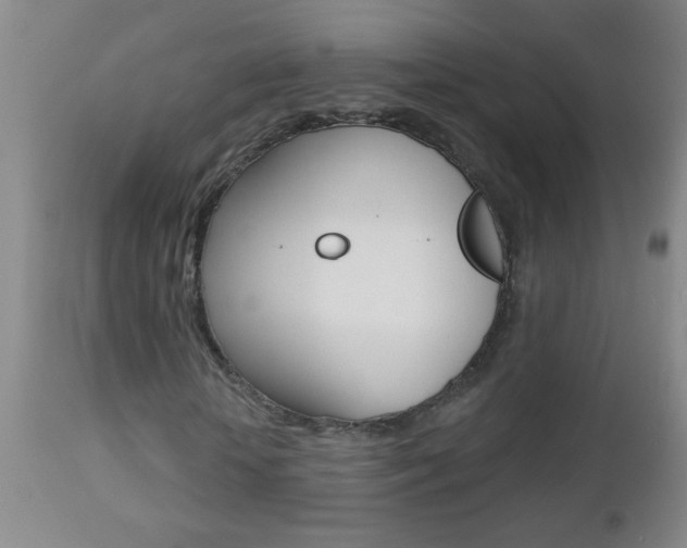 X0000112460818200908171013