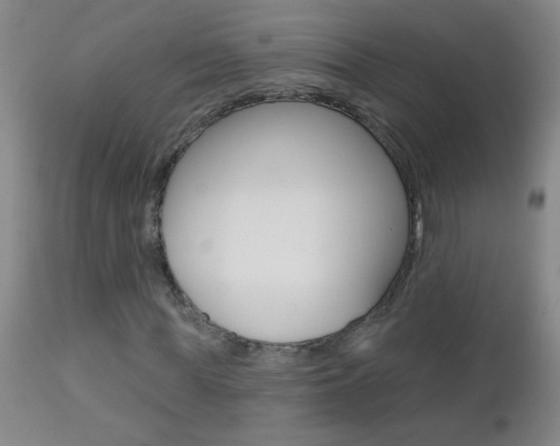 X0000112460819200908171013