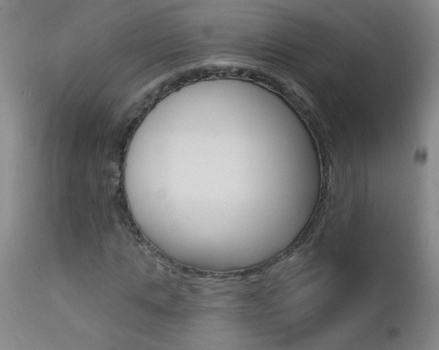 X0000112460821200908171013