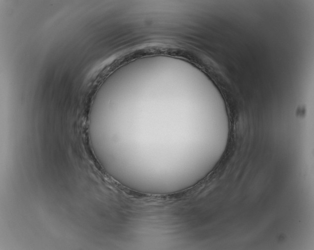 X0000112460822200908171013