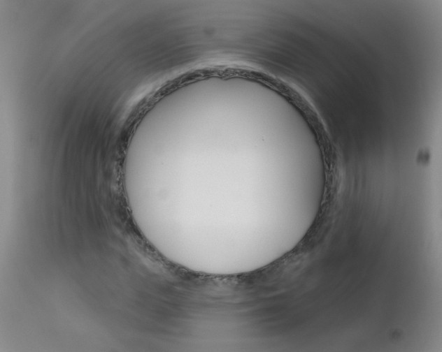 X0000112460823200908171013
