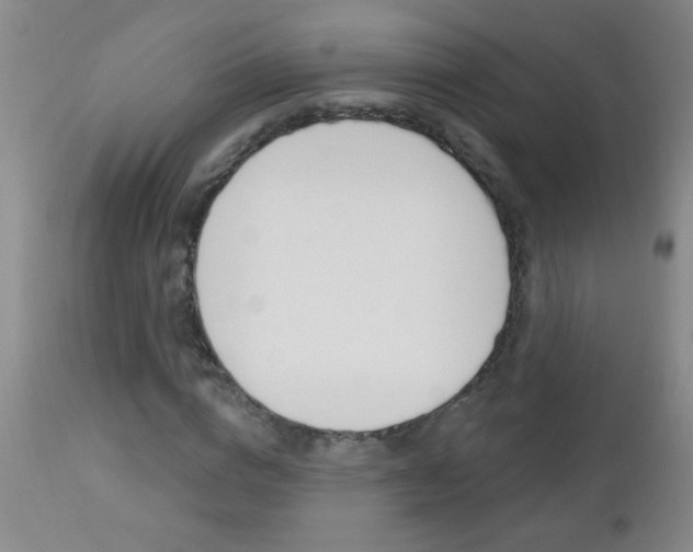X0000112460824200908171013