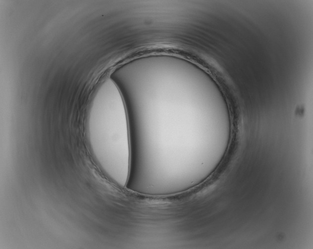 X0000112460825200908171013
