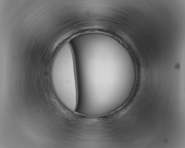 X0000112460826200908171013