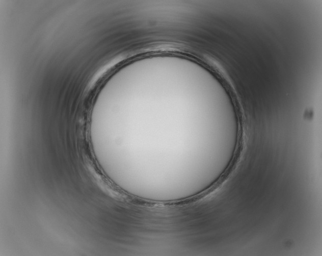 X0000112460827200908171013
