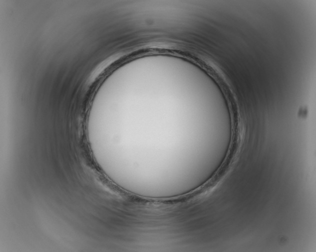 X0000112460829200908171013