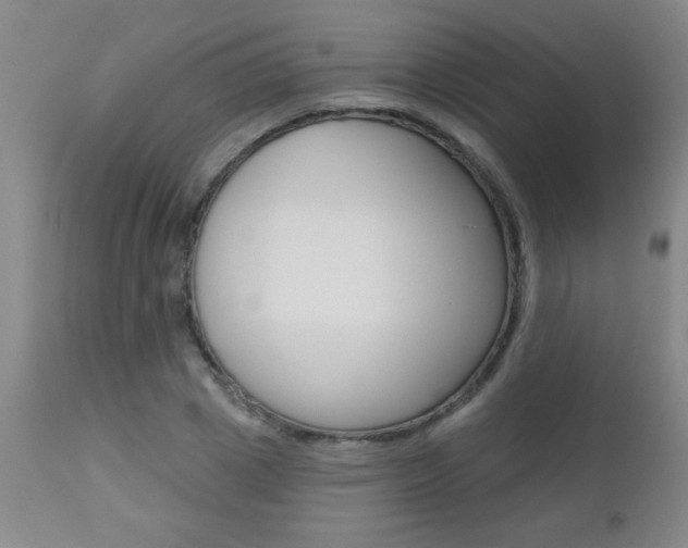 X0000112460833200908171014