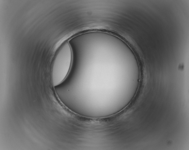 X0000112460834200908171014